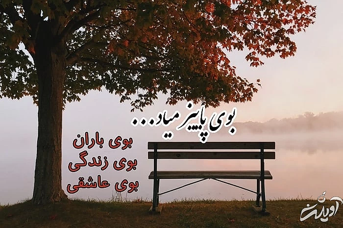 بوی پاییز